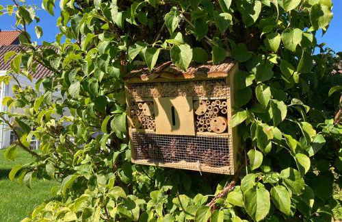 Ferienwohnungen bei der Purpurbuche - Foto 23