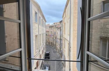 Joli Duplex Centre Montpellier - Maconciergerie34 - Foto 24