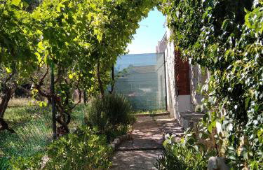 Apartments with parking space Ugljan - 8527 - Foto 11