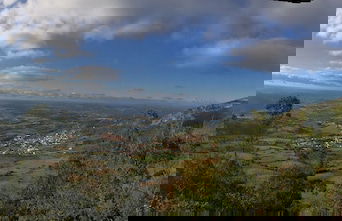 Terra Luso - Foto 59