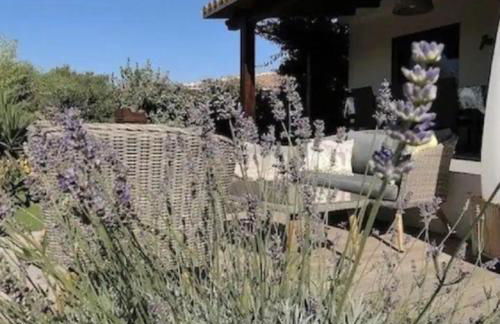 MONTE LEONE - Foto 42