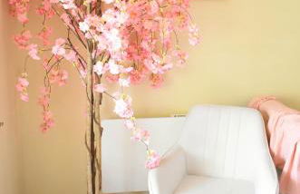 La licorne poitevine - Foto 13