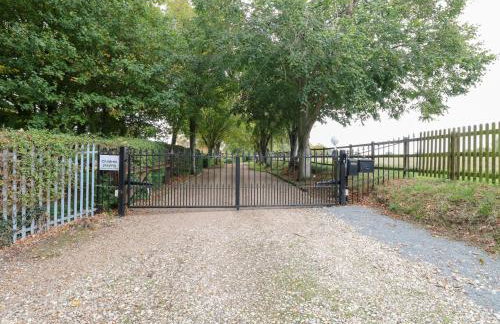 Holly Berry - Foto 33