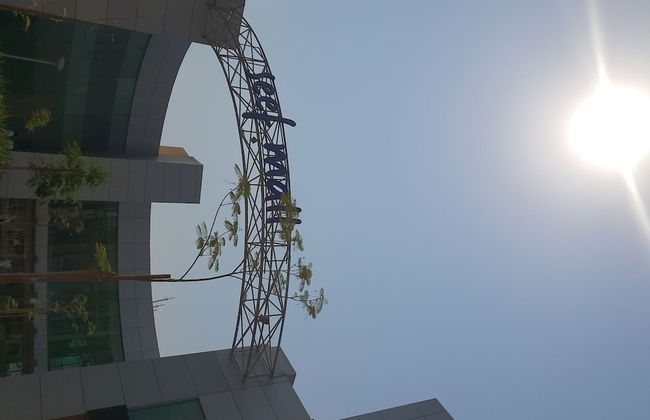 Palmera604 - Foto 22