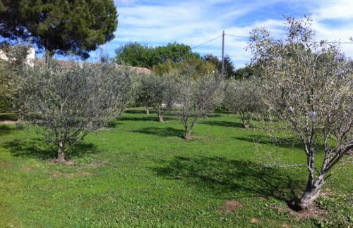 Le Micocoulier - Foto 48