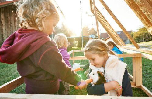 Ferienhof Stetter - Foto 5