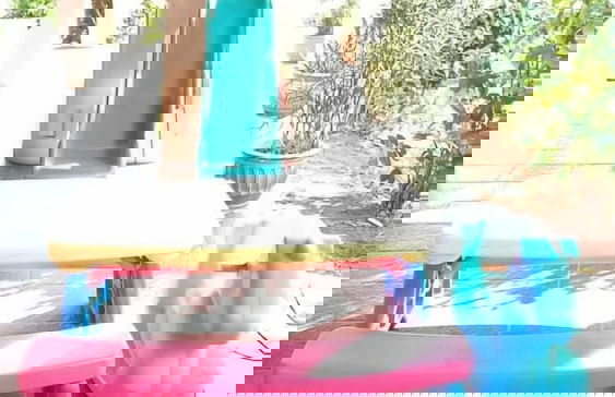 Joglo Java - Photo 21