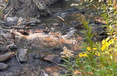 Cozy Cabin on the Creek - Foto 38