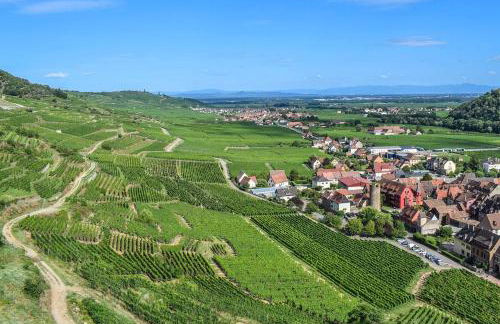 Grande terrasse, route des vins, domaine viticole 'riesling' - Foto 24