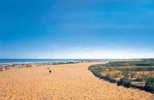 Venezia nature&beach - Foto 61