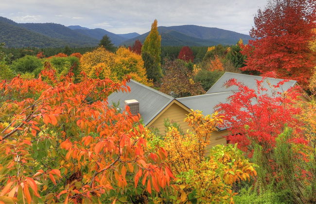 Chestnut Tree Holiday Apartments - Foto 17