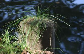 Ferienanlage Am Nahkegraben - Foto 79