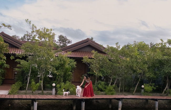 The Beatles Lagoon - Photo 47