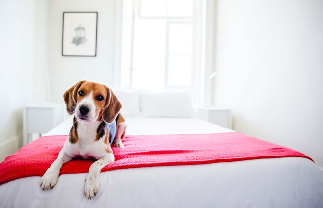 Home Made Guest Studios - Foto 73