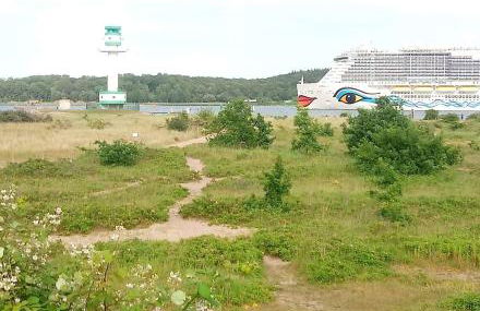 SUNNY SIDE - Foto 24