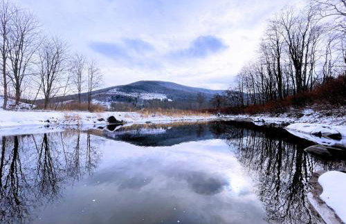 Skiing Close By! Firepit & Game Room - Foto 9
