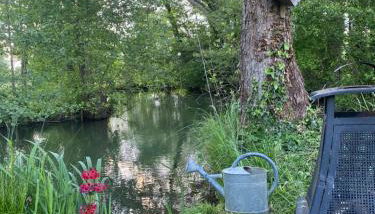 Gîte yourte Bulle Der au Lac du Der jusque 8 personnes - Foto 5