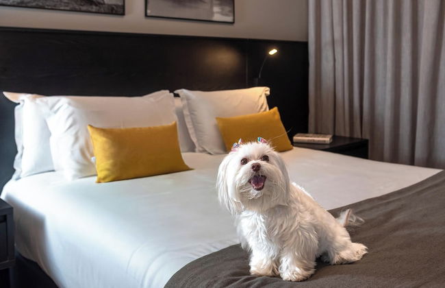 I am Design Hotel Campinas by Hotelaria Brasil - Foto 6