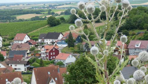 FeWoSchwedenhaus - Foto 4