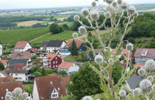 FeWoSchwedenhaus - Foto 4