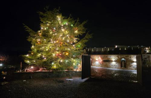 Caesars Lodge - Photo 14