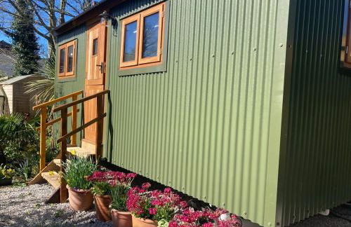 Lovely Shepherds hut near St Ives Cornwall - Foto 7
