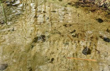 Domek na plaży, jezioro Rybno - Photo 15