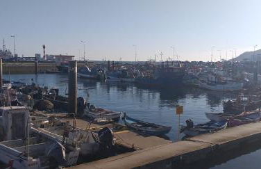 Patio da Memoria - Foto 34