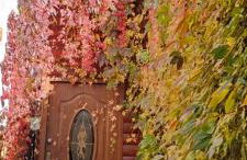 Agroturystyka Szalejów 117 - Foto 52