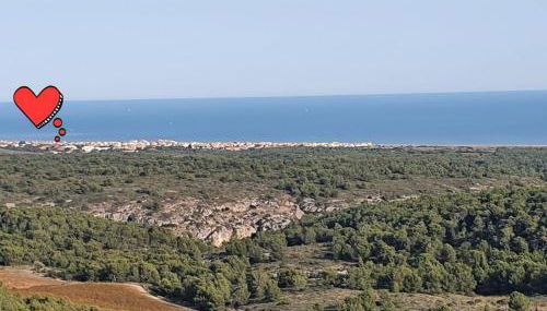 T2 cosy à la plage, terrasse vue sur mer et parking privatif - Photo 5
