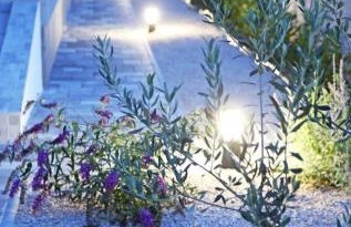 Modern Guest House Rak with beautiful pool - Photo 46