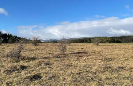 Holzhaus Devils Corner - Foto 13