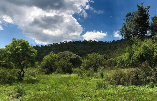 Natures Green Resort and Spa - Foto 69