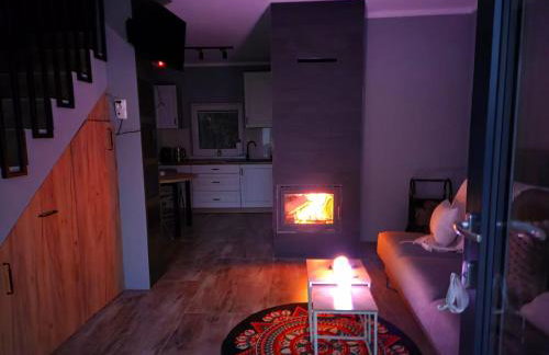 Domki w Bieszczadach Kuźmina - Foto 10