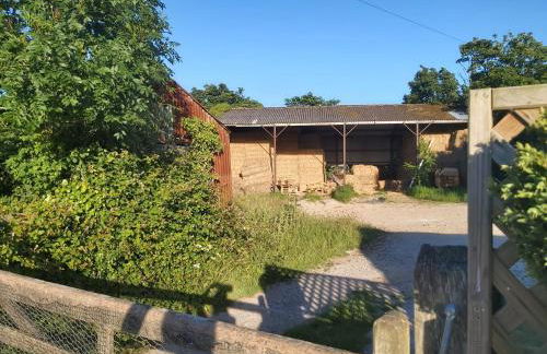 Beautiful Barn Conversion, 3 Bed, hot tub, sauna, gym, enclosed garden - Photo 25