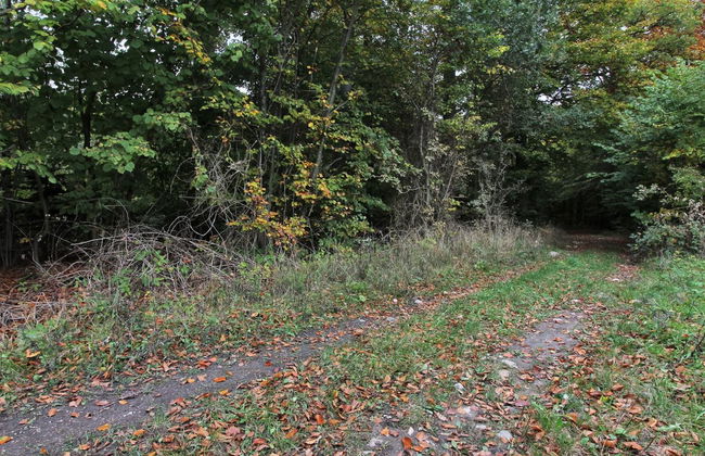 "Vojo" - 100m from the sea - Foto 4