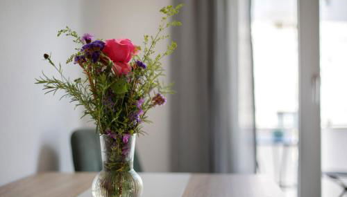 Ferienwohnung Münster, sehr zentral - Foto 2