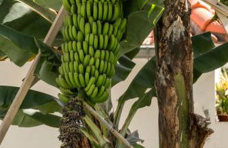 Germana House by An Island Apart - Foto 33