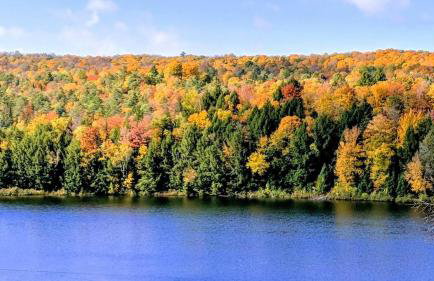 Lakewood Bungalow - Foto 58