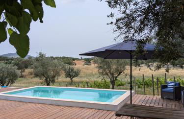 Monte das Aranhas - Foto 34