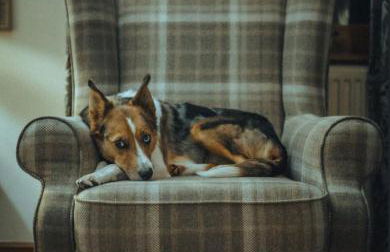 The Haven - Photo 31