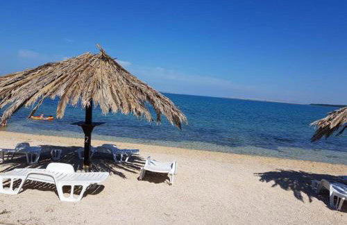 Apartman Milutin - Foto 30