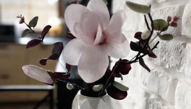 White View Rose - Photo 3