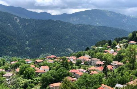 ΤΟ ΑΡΧΟΝΤΙΚΟ - Photo 43