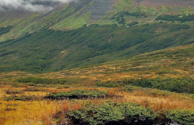Trekking por el Monte Tarn - Foto 1