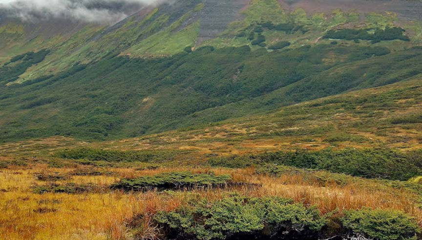 Trekking por el Monte Tarn