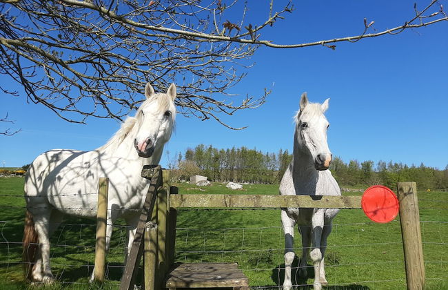 Abhainn Ri Cottages - Foto 13