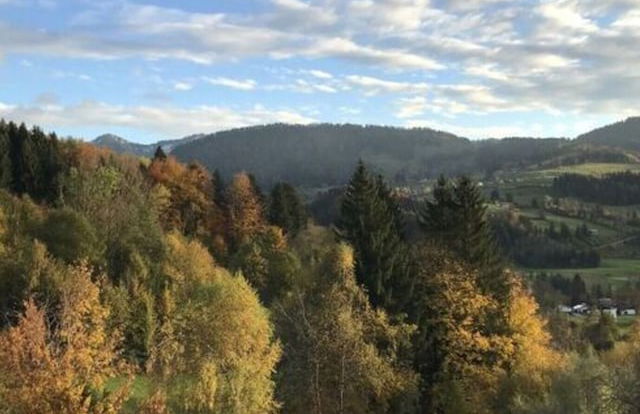 Alpchalet Staufner Quelle - Foto 26