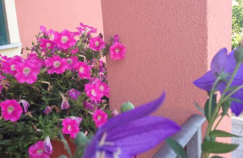 Il Ghiretto Appartamento - Photo 55