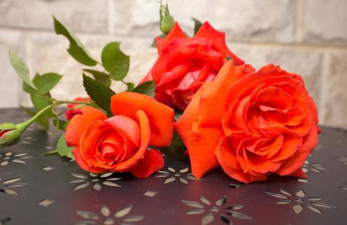 Stone house Oršulica - Photo 45